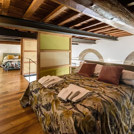 Lejlighed Fidu Loft