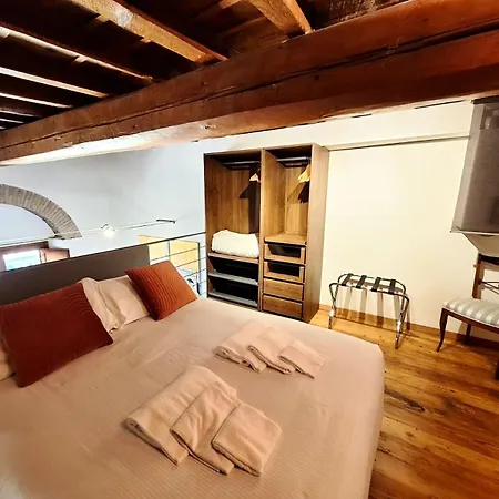 Daire Fidu Loft Floransa